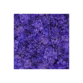 Bliss Mardi Gras - DP23887-89